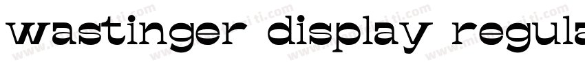 wastinger display regular字体转换